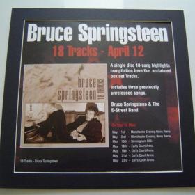 4 x Bruce Springsteen  Rare Posters In Mounts Ready To Frame