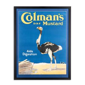 Original Vintage 1970's Large Colman's Mustard Poster