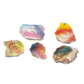 Group of Five Original Pieces of the Berlin Wall