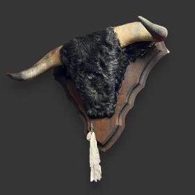 Vintage Spanish Fighting Bull