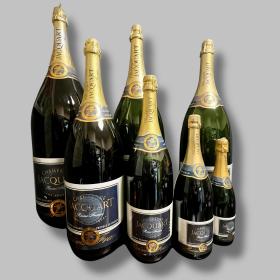 Vintage Set of 7 Oversized Champagne Bottles