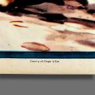 Commander Cody Sky Marshal of The Universe Poster