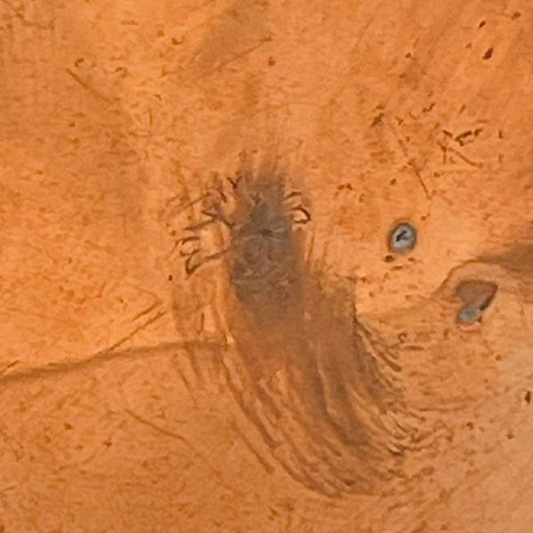 Christopher Dresser Copper and Brass Kettle Made by Benham & Froud