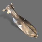 Papier Mache Butchers Shop Cow