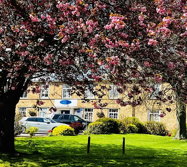 Blossom at Hemswell