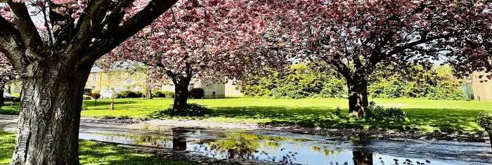 plan your visit page banner