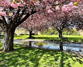 plan your visit page banner